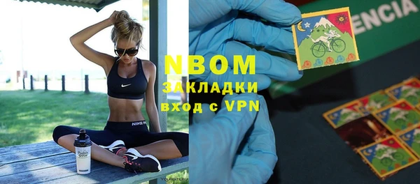ГАЛЛЮЦИНОГЕННЫЕ ГРИБЫ Гусев