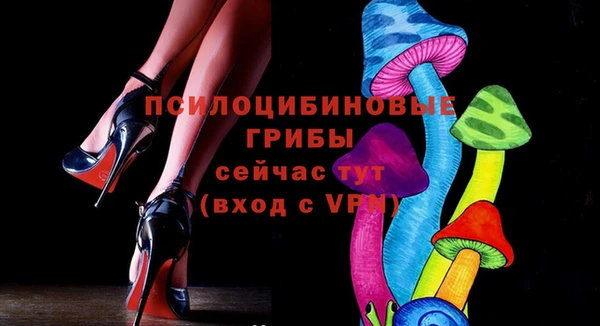 спайс Гусь-Хрустальный