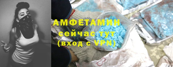 спайс Гусь-Хрустальный