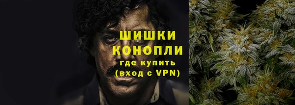 прущая мука Гусиноозёрск
