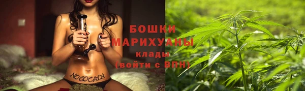 спайс Гусь-Хрустальный
