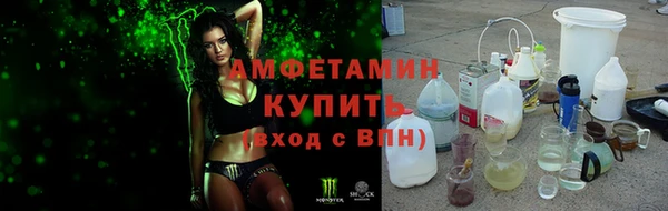 ГАЛЛЮЦИНОГЕННЫЕ ГРИБЫ Гусев