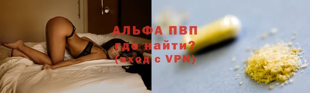 ГАЛЛЮЦИНОГЕННЫЕ ГРИБЫ Гусев