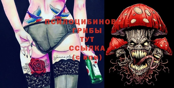 спайс Гусь-Хрустальный