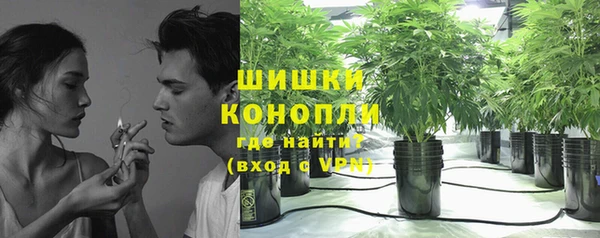 прущая мука Гусиноозёрск