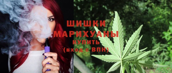 спайс Гусь-Хрустальный