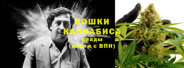 прущая мука Гусиноозёрск