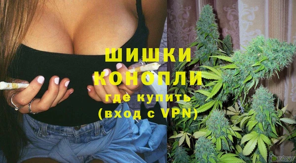 ГАЛЛЮЦИНОГЕННЫЕ ГРИБЫ Гусев