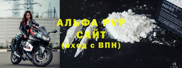 ГАЛЛЮЦИНОГЕННЫЕ ГРИБЫ Гусев