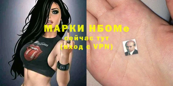 ГАЛЛЮЦИНОГЕННЫЕ ГРИБЫ Гусев