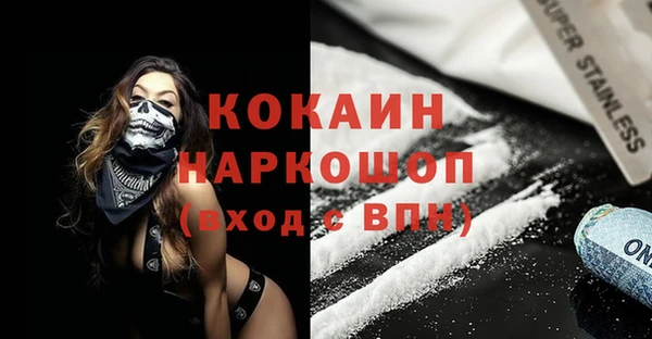 спайс Гусь-Хрустальный